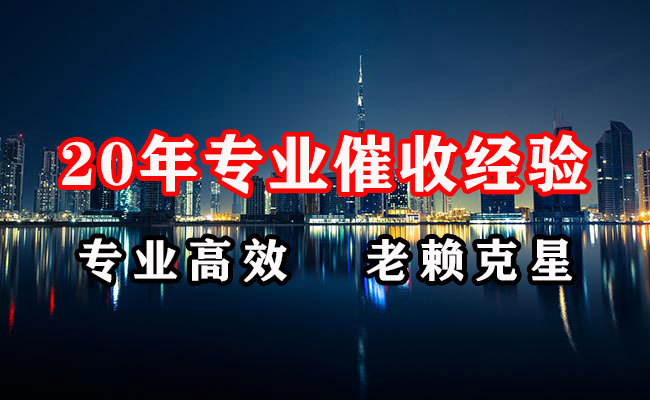 汝南追账公司