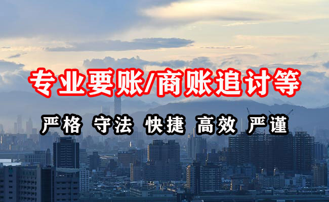汝南追账公司